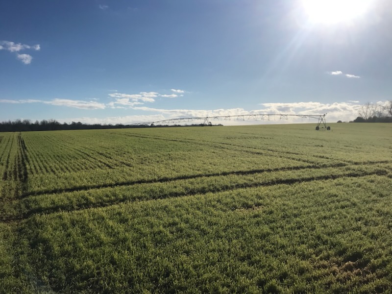 Income Producing, Irrigated Farm Portfolio