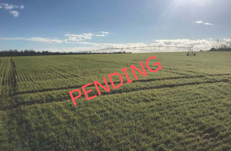 Income Producing, Irrigated Farm Portfolio – UNDER CONTRACT