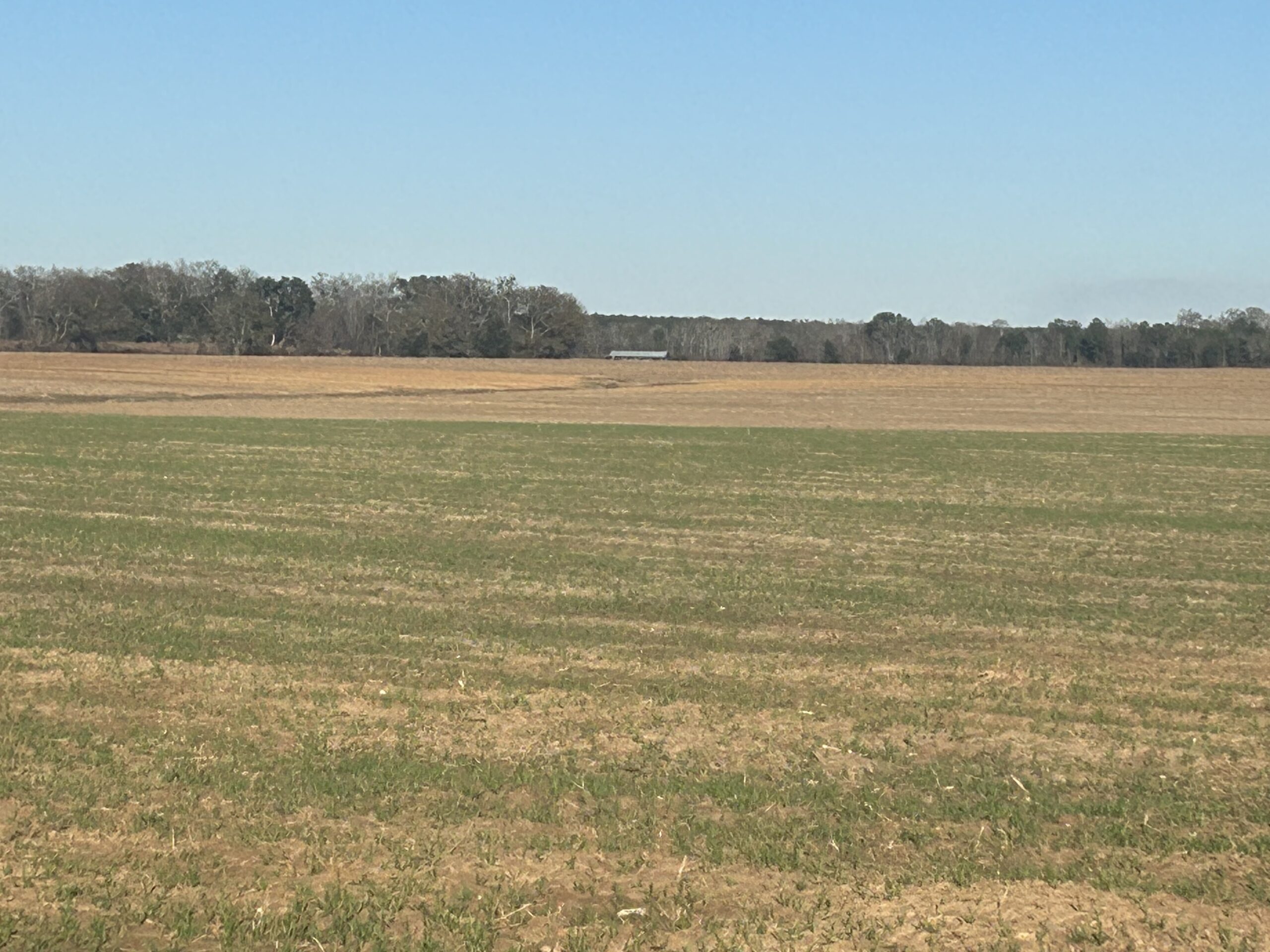 Southwest Georgia Vegetable Farm