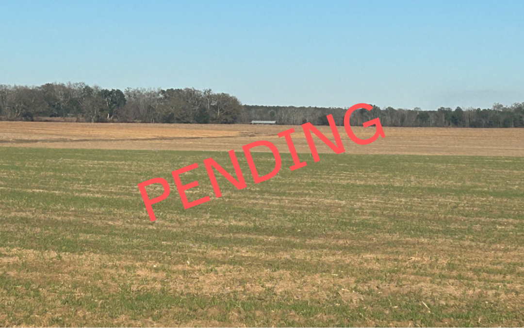 Southwest Georgia Vegetable Farm – UNDER CONTRACT